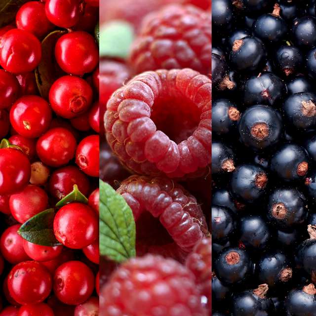 کرم دست مرطوب کننده و نرم کننده بری مری 75میل Berry Merry Hand Cream